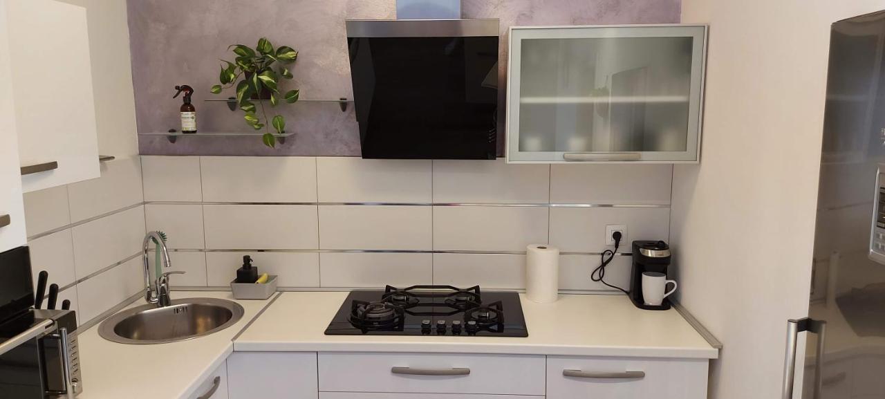 Apartment Pomerio 里耶卡 外观 照片